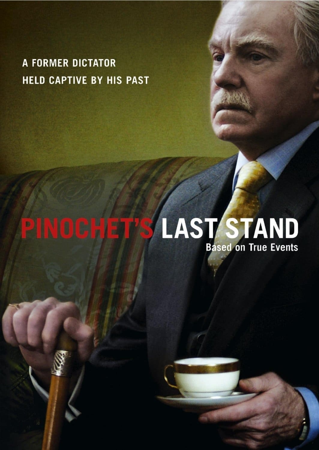 Постер Pinochet in Suburbia